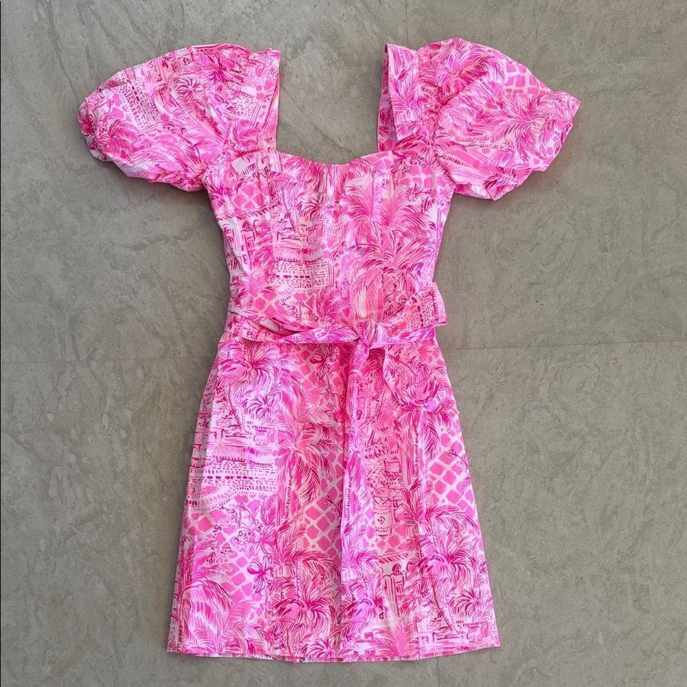 Pink Puff Sleeve Dress